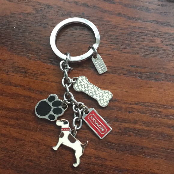 coach frog keychain